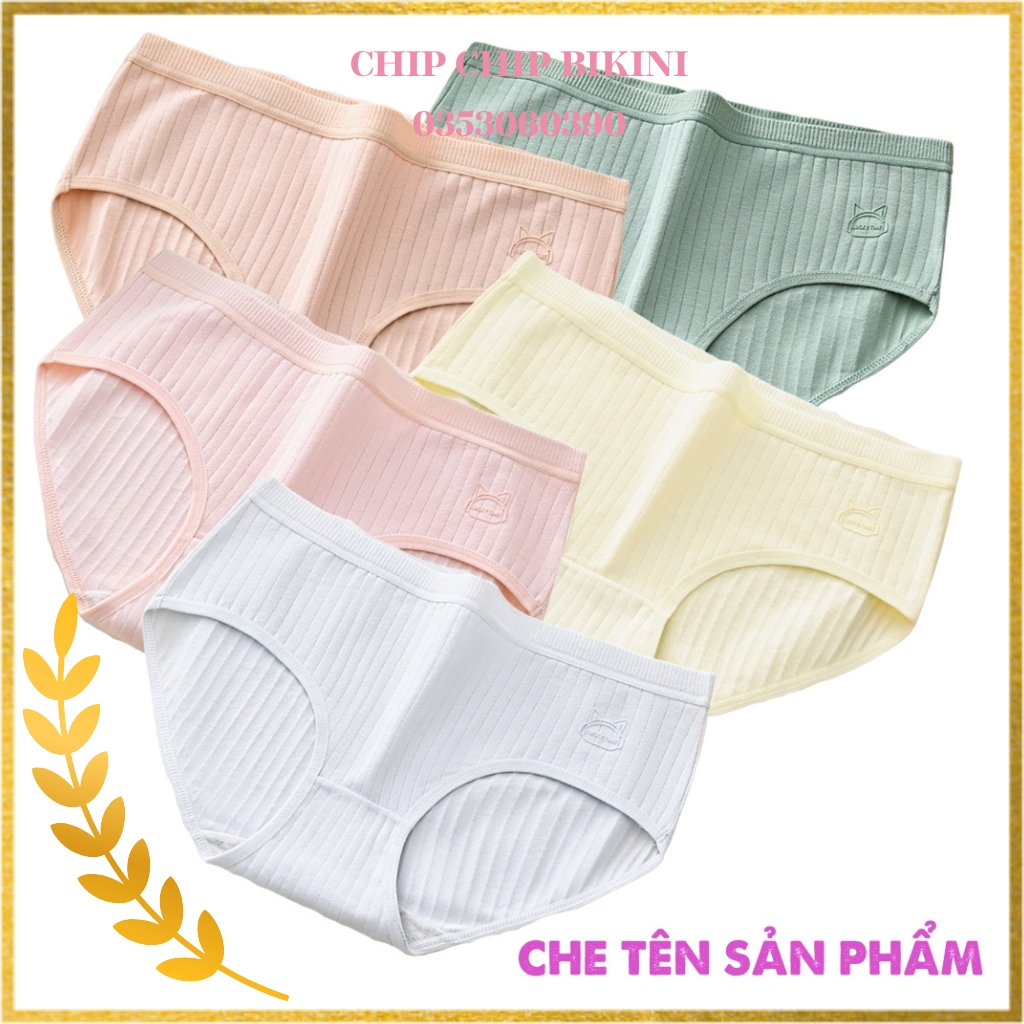 Combo 5 quần lót nữ CS022 đẹp cạp vừa gân tăm họa tiết chú mèo in chìm dễ thương siêu cute siêu nữ tính dành cho bạn nữ
