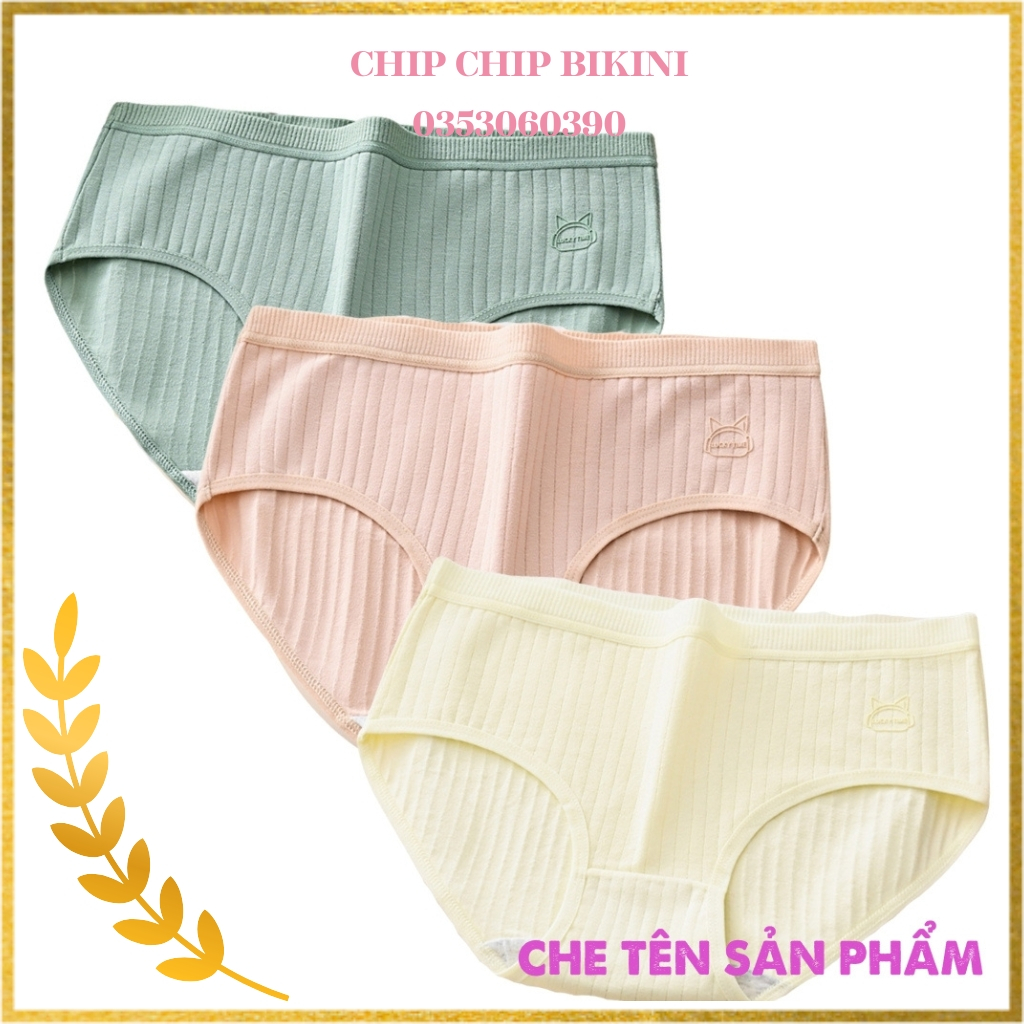Combo 3 quần lót nữ CS022 đẹp cạp vừa gân tăm họa tiết chú mèo in chìm dễ thương siêu cute siêu nữ tính dành cho bạn nữ