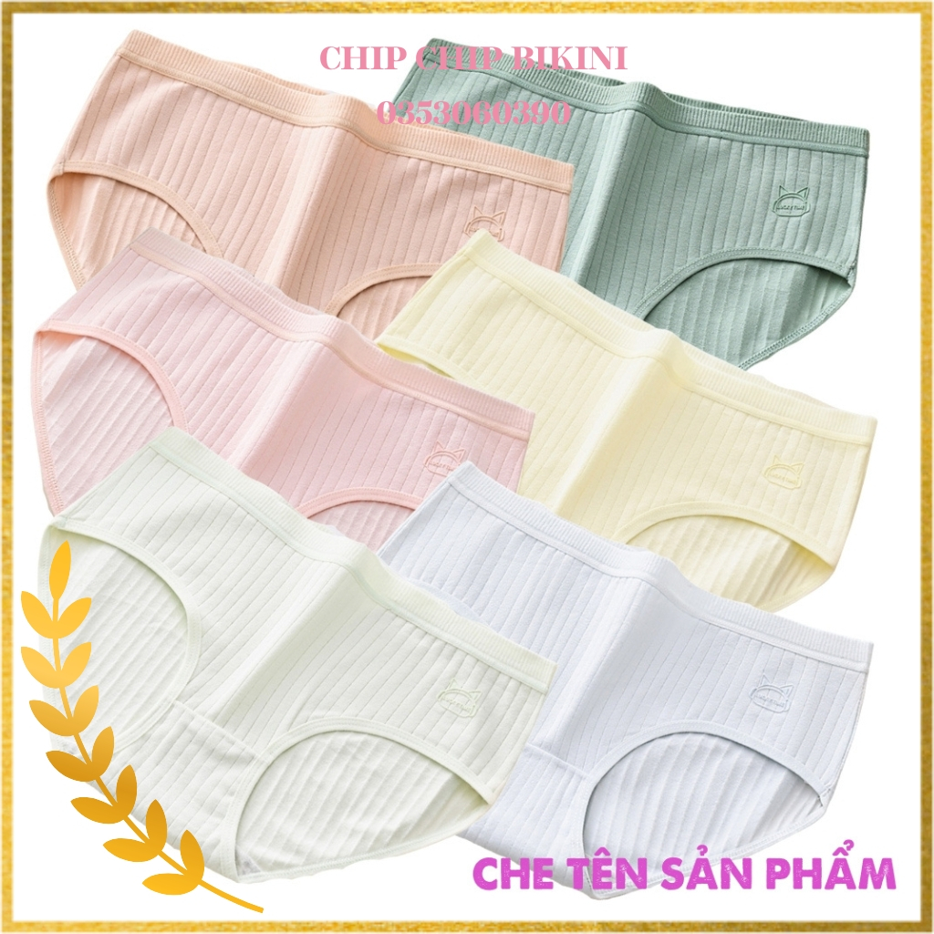 Combo 10 quần lót nữ CS022 đẹp cạp vừa gân tăm họa tiết chú mèo in chìm dễ thương siêu cute siêu nữ tính dành cho bạn nữ