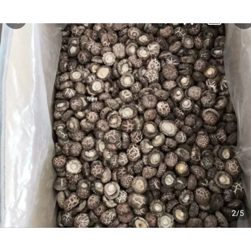 Nấm Đông Cô size đại đã bỏ chân