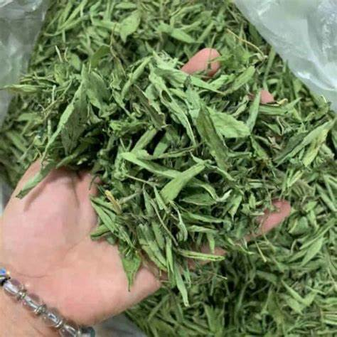 Lá đinh lăng khô sạch nhà trồng