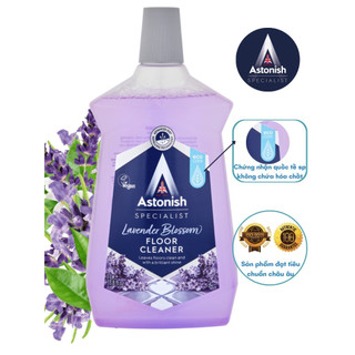 Nước lau sàn hoa oải hương Astonish C6110