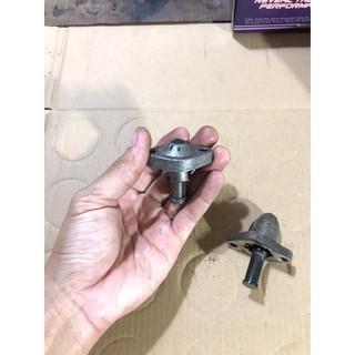 ( Củ ) Tăng cam zin Ex135-150