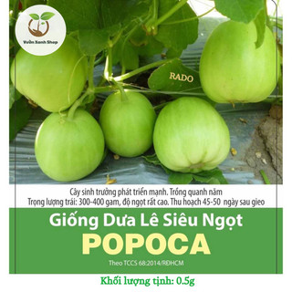 Hạt giống dưa lê siêu ngọt popoca hạt giống rạng đông