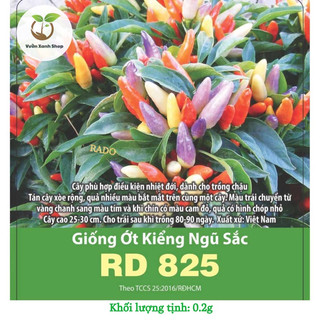 Hạt giống ớt kiểng ngũ sắc rado 825 hạt giống rạng đông