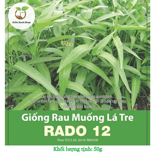 Hạt giống rau muống lá tre rado 12 hạt giống rạng đông