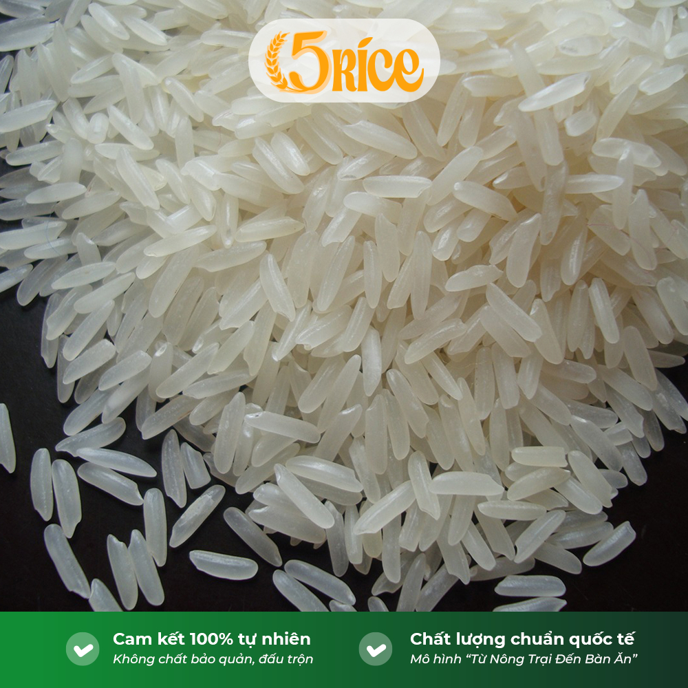 Gạo thơm thượng hạng Tứ Quý - COMBO 20kg - Gạo thượng hạng thơm dẻo, đậm vị chính hãng 5RICE | BigBuy360 - bigbuy360.vn