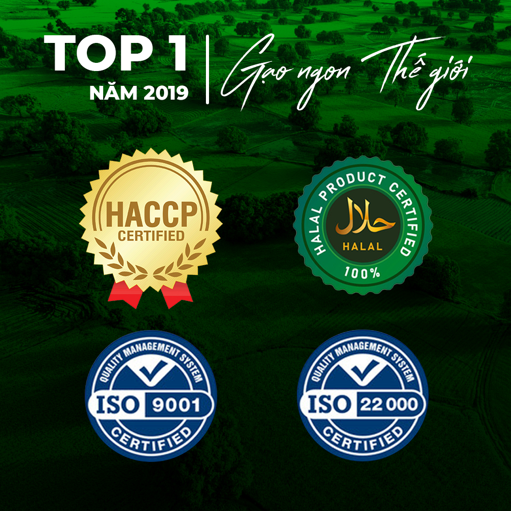 Gạo thơm thượng hạng Tứ Quý - COMBO 20kg - Gạo thượng hạng thơm dẻo, đậm vị chính hãng 5RICE | BigBuy360 - bigbuy360.vn