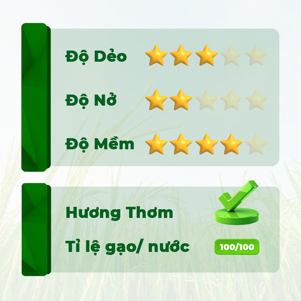 Gạo thơm thượng hạng Tứ Quý - COMBO 20kg - Gạo thượng hạng thơm dẻo, đậm vị chính hãng 5RICE | BigBuy360 - bigbuy360.vn