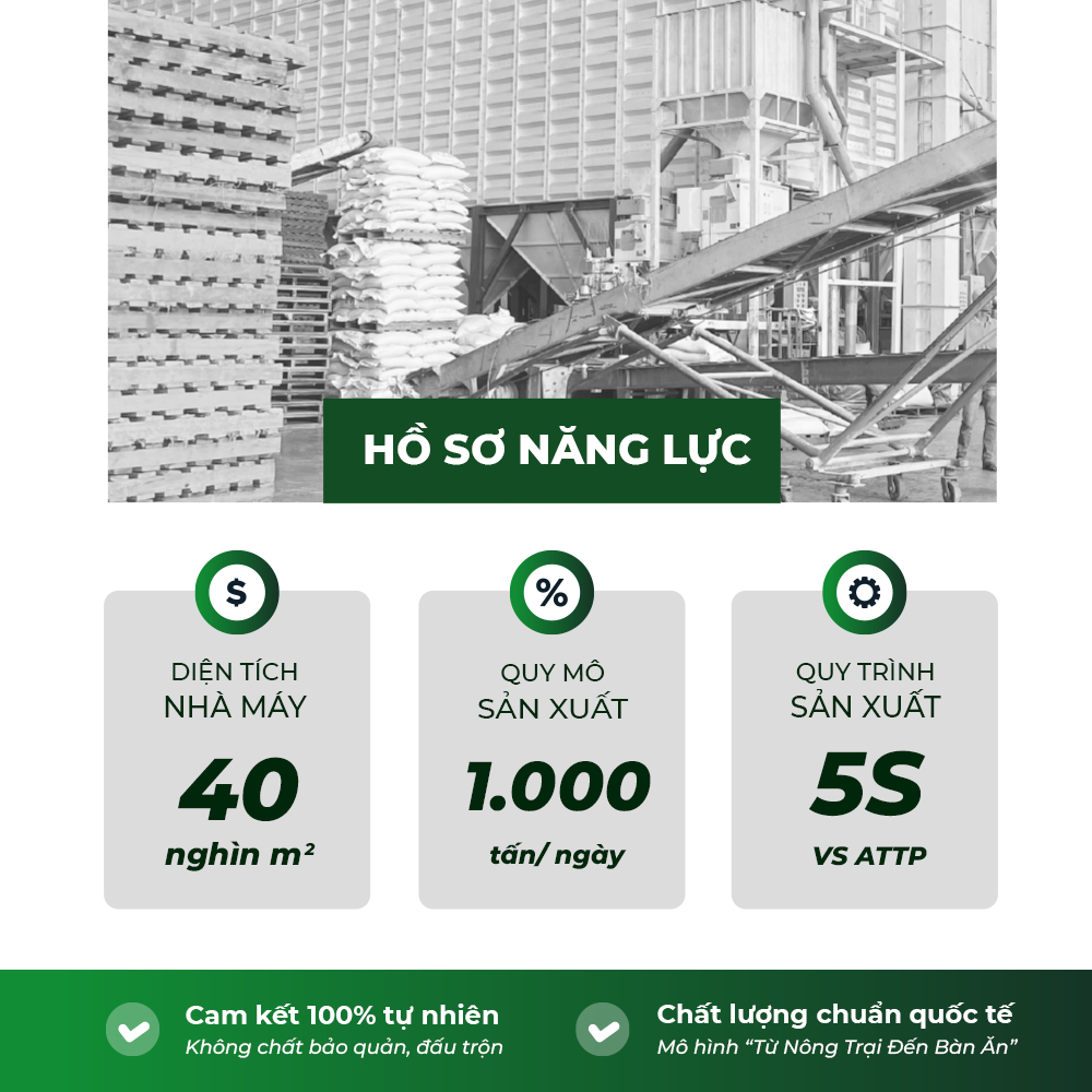 Gạo thơm thượng hạng Tứ Quý - COMBO 20kg - Gạo thượng hạng thơm dẻo, đậm vị chính hãng 5RICE | BigBuy360 - bigbuy360.vn