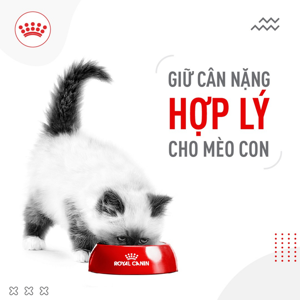 Hạt mèo con Royal Canin Kitten Thức ăn cho mèo con 400g Petemo Pet Shop