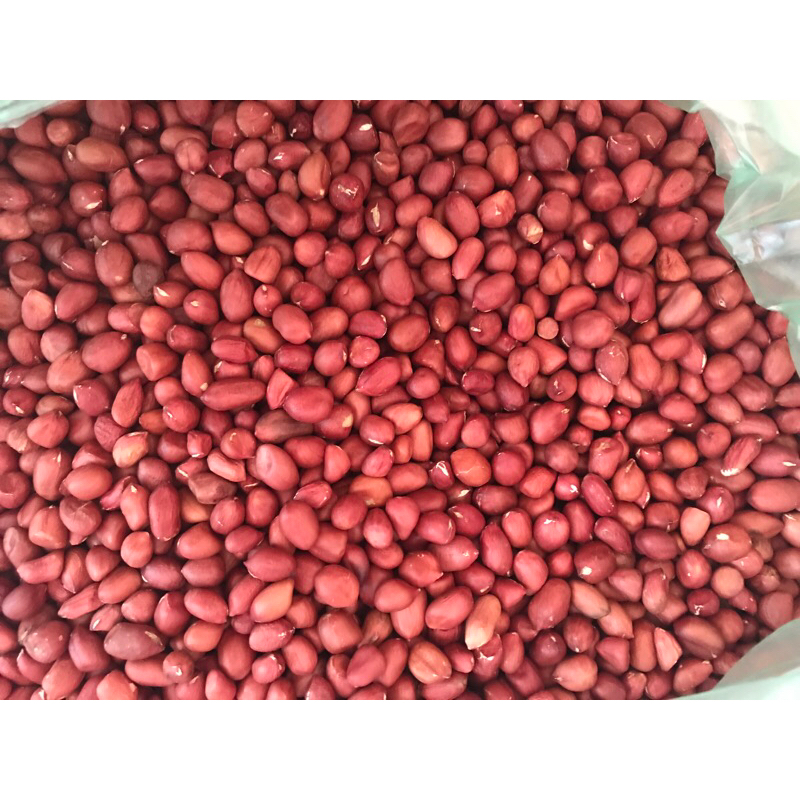 Đậu phộng đỏ Tây Bắc 100g