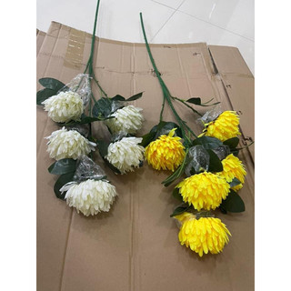 Cành cúc vạn thọ 5 bông