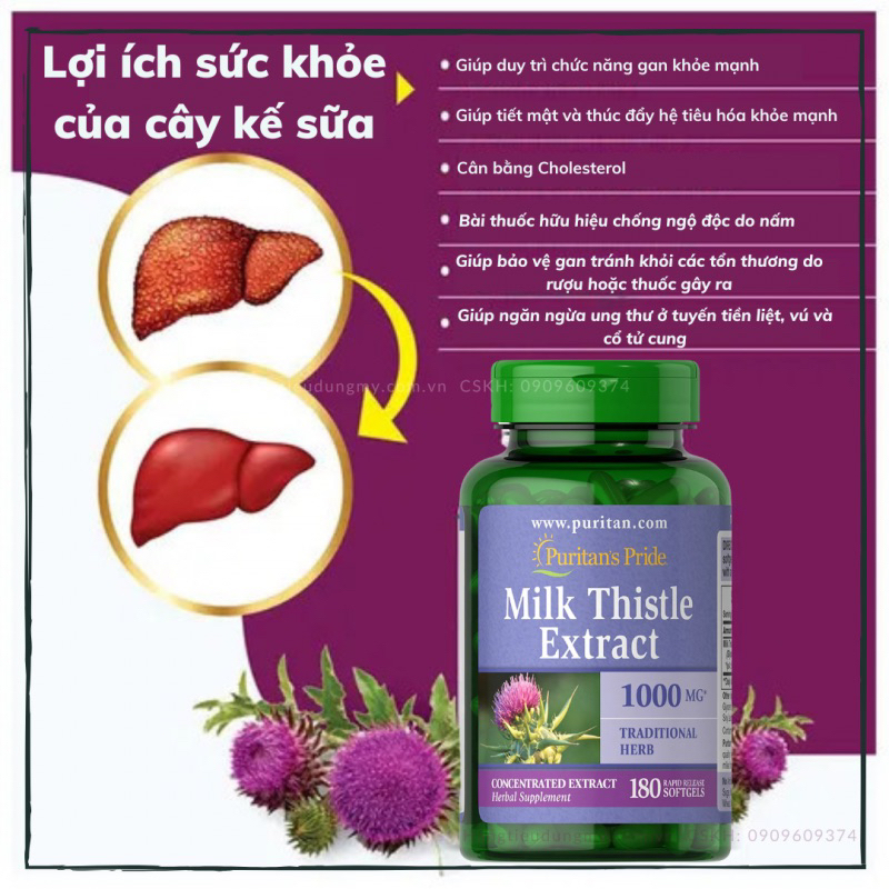 Viên uống bổ gan, thải độc gan Milk Thistle Puritans