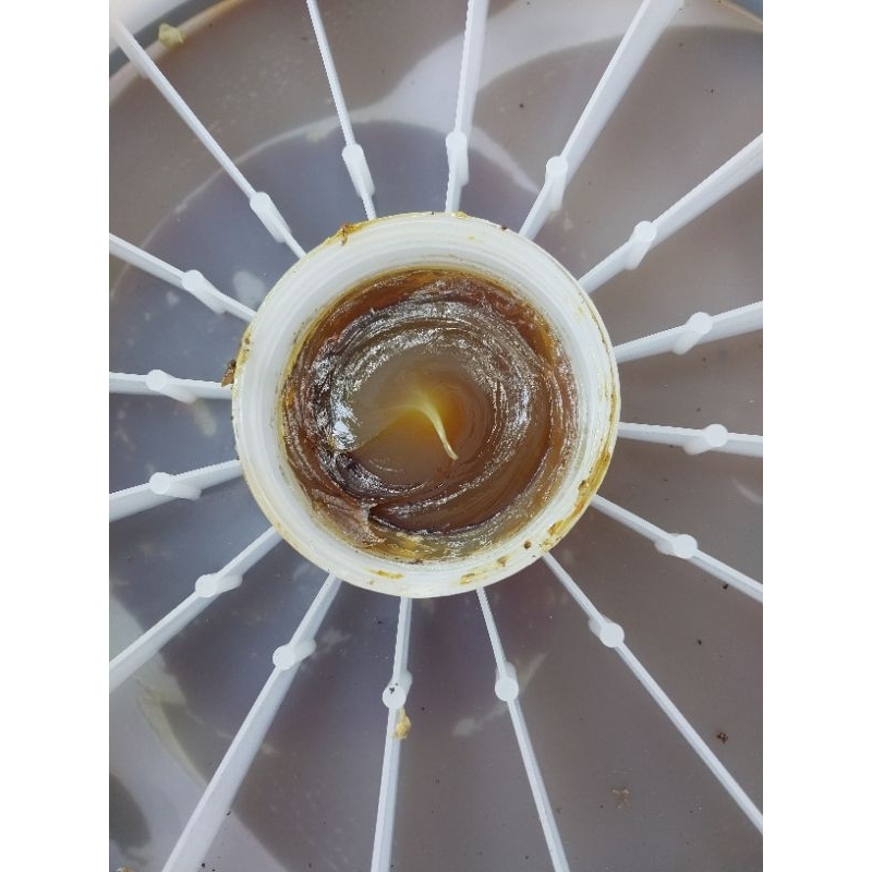 Free Ship Extra * Mỡ chịu nhiệt xô hút đa năng