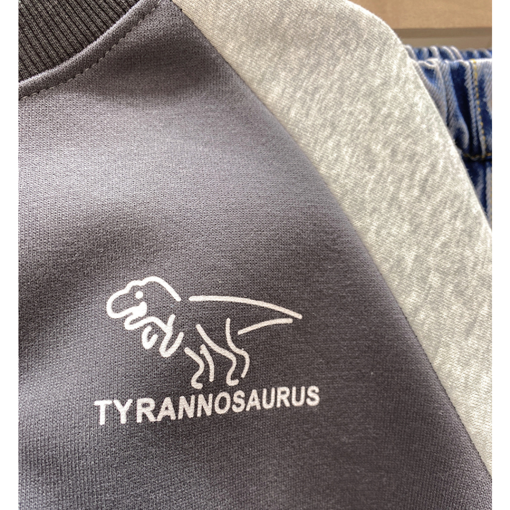 Áo nỉ hàn cho bé trai hàng Quảng Châu Kun kun Áo nỉ trẻ em loại đẹp Kunkid