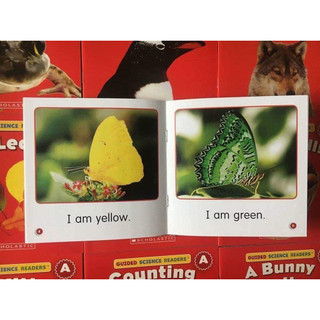 Scholastic Guided Science Readers (full bộ 81q nhập khẩu)