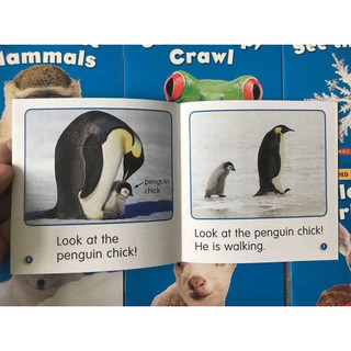 Scholastic Guided Science Readers (full bộ 81q nhập khẩu)