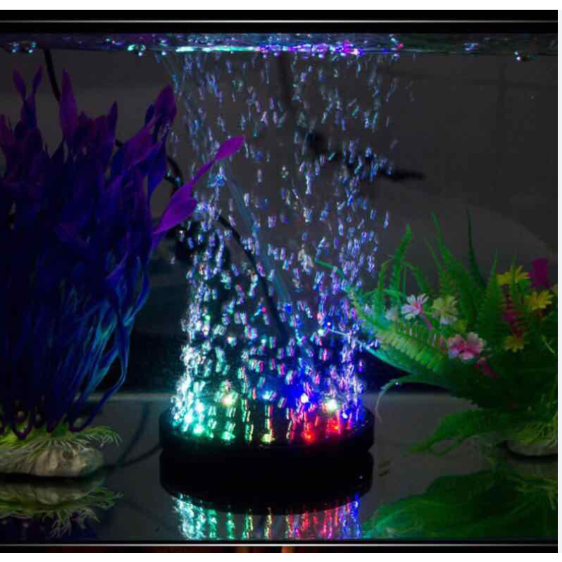 Dĩa sủi oxy có đèn Led cho bể cá cảnh thủy sinh Led 107 - 107mmx19mm