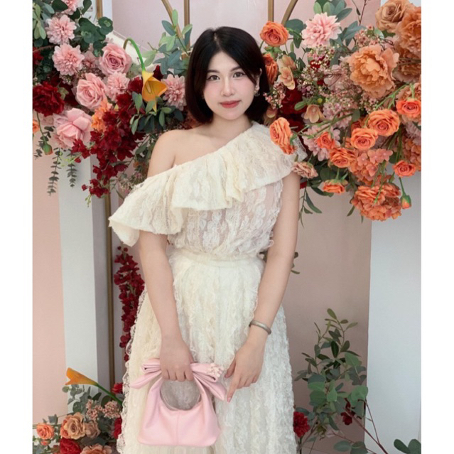 Túi Chow bag Hérisson màu hồng + nơ hồng bản xách tay