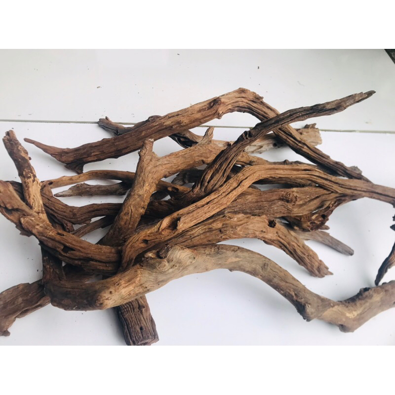 Lũa san đá cành | lũa thủy sinh dùng để thiết kế bố cục cho bể thủy sinh , size to dài 50-60cm