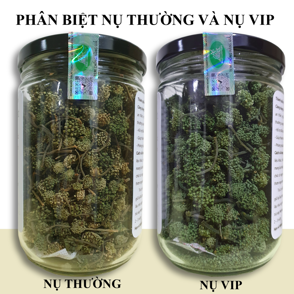 Trà thảo mộc nụ hoa tam thất bao tử sấy lạnh - Dalat Cordyceps - loại thượng hạng
