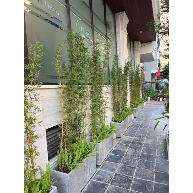 # chậu xi măng đá mài 80x40x40