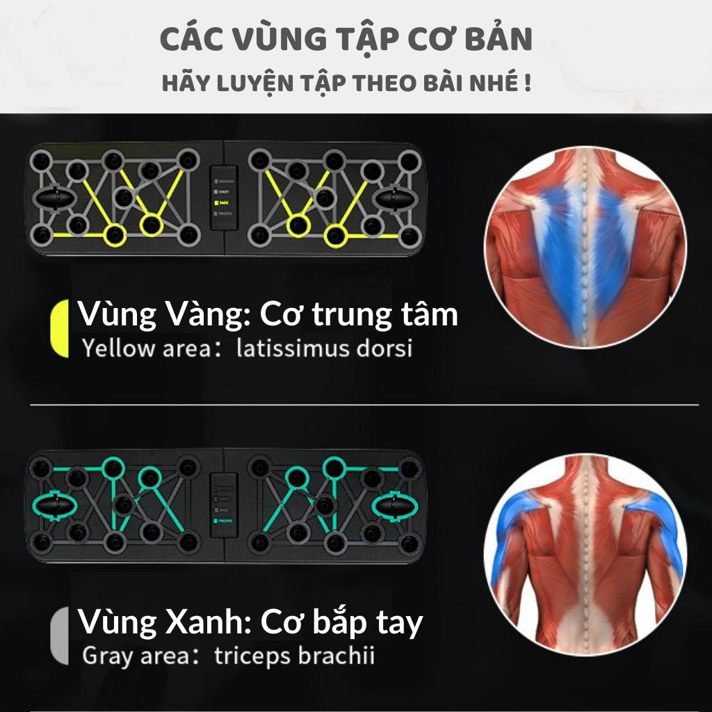 Dụng cụ hít đất Đồ chống đẩy có vạch kẻ chia bài tập Tập Cơ Ngực Vai sức chịu nặng siêu khỏe tập gym tại nhà TCD1 MONASO