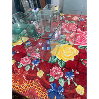 bể cá 25x25x25 kính 5li