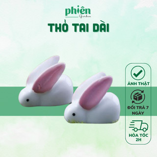Thỏ Tai Dài trí tiểu cảnh, sen đá, terrarium, Phụ kiện Tiểu cảnh mini