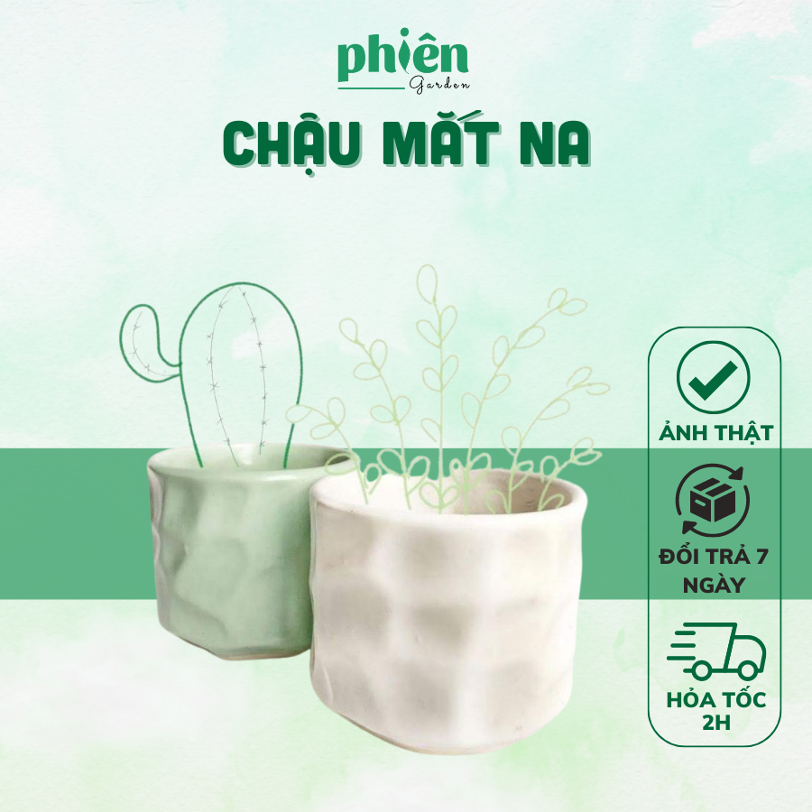 Chậu Mắt Na, Chậu gốm tráng men Bát Tràng trồng cây sen đá, cây văn phòng