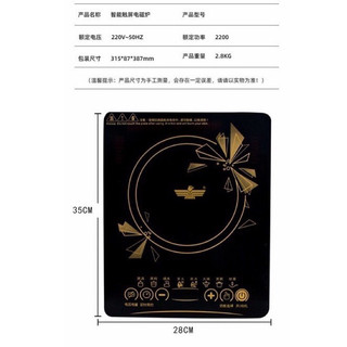 Bếp từ cao cấp