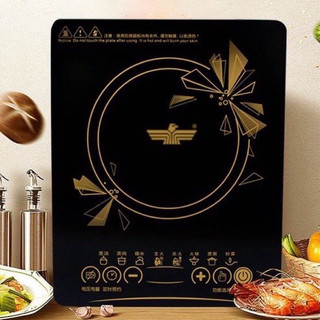 Bếp từ cao cấp