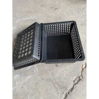Khây nuôi cua biển (khây lớn)