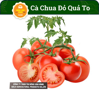 Hạt giống cà chua đỏ quả to , quả cà chua màu đỏ tươi đẹp mắt, nhiều dinh dưỡng - nông sản vàng