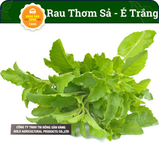 Hạt giống rau thơm sả gói 1 gram , rau thơm đặc biệt của miền trung, trồng quanh năm - nông sản vàng