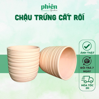 Chậu đất nung hình trứng, chậu trứng đất nung cắt rối 17x17cm
