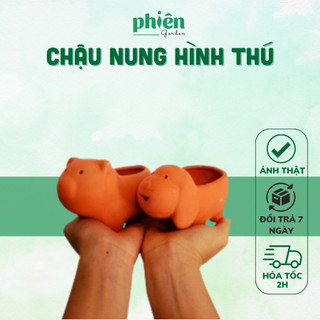 Chậu đất nung hình thú trồng sen đá, hình con heo, con chó siêu dễ thương