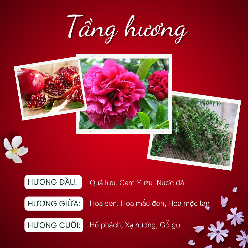 Nước hoa chiết Versace Bright Crystal edt Nước hoa nữ tinh tế cá tính cuốn hút mẫu thử 10ml