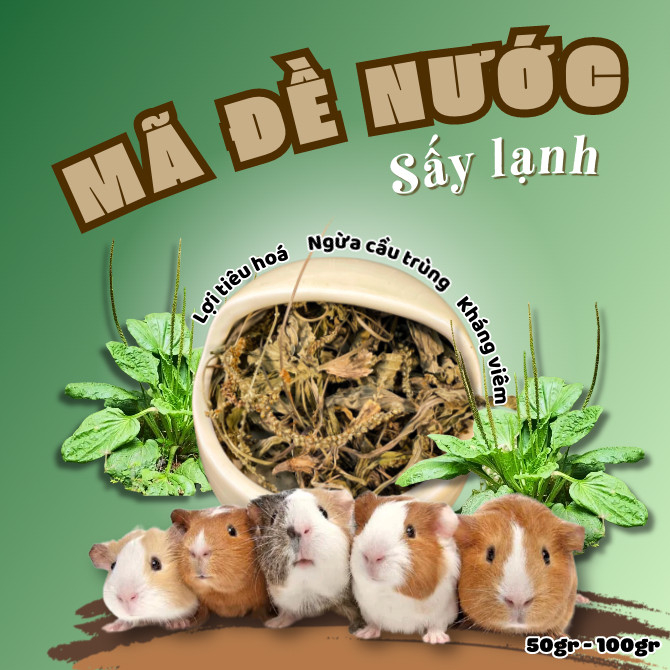 Lá Mã Đề Nước sấy lạnh dành cho Thỏ, Bọ ú, Chinchilla.