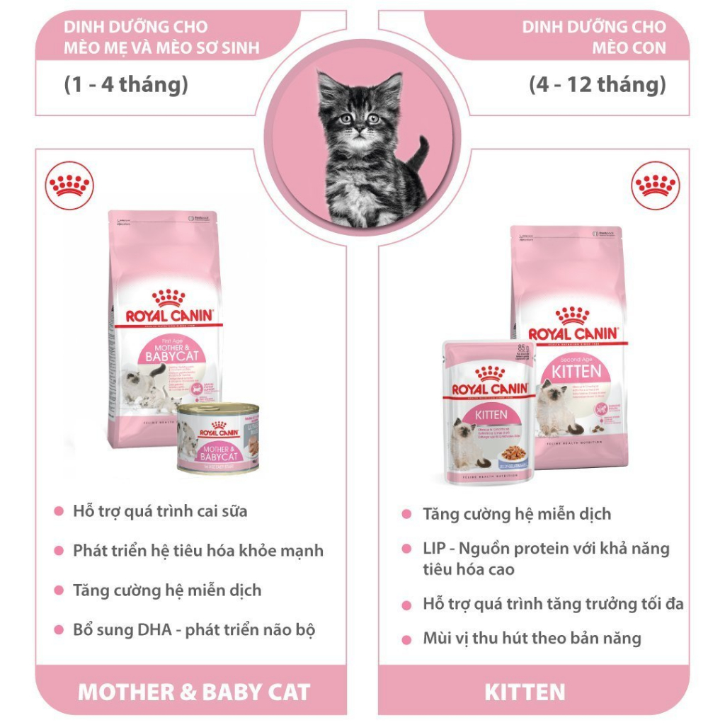 Hạt mèo con Royal Canin Kitten Thức ăn cho mèo con 400g Petemo Pet Shop