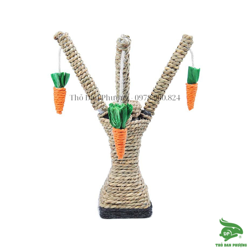 Cây đồ chơi mài răng, móng cho thú cưng carot