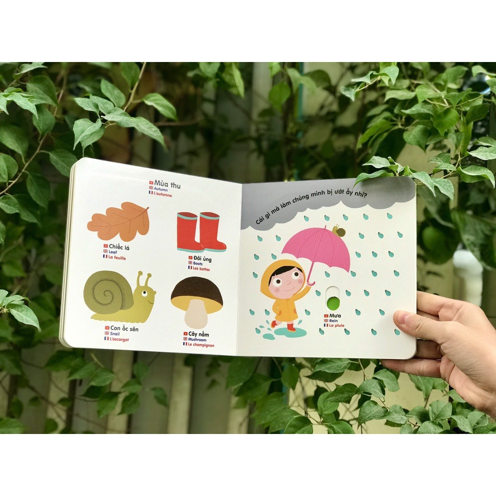 Sách chuyển động thông minh đa ngữ Việt - Anh - Pháp