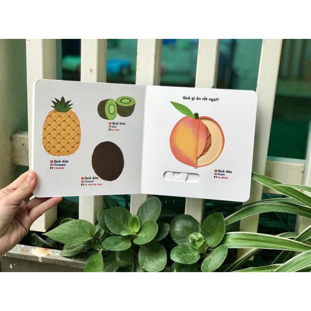 Sách chuyển động thông minh đa ngữ Việt - Anh - Pháp