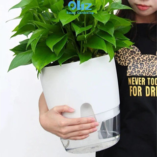 [CỠ LỚN] Chậu cây để bàn Oliz A709. Chậu trồng cây thông minh có chức năng tự tưới nước cho cây