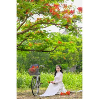 Đơn hàng quần áo 350k