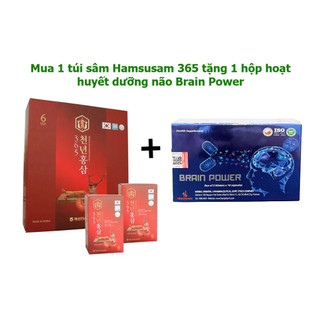 Nước hồng sâm nhung hươu linh chi Hansusam 365 nhập khẩu Hàn Quốc + Hoạt huyết Brain Power