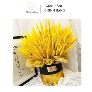 COMBO SÉT 100 BÔNG LÚA MẠCH VÀNG SIÊU ĐẸP