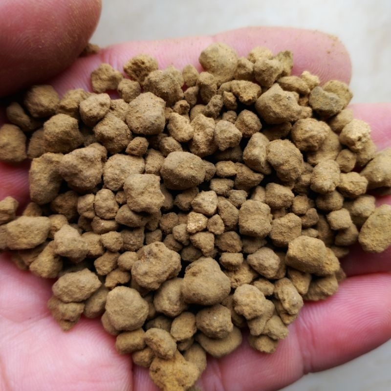 Đất Akadama Size S Túi 500g