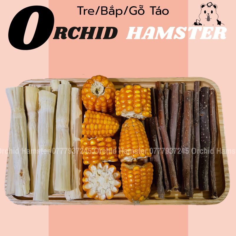 Bánh mài răng và cành táo mài Răng Hamster ,Sóc, Nhím.. v.. v